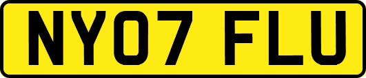 NY07FLU