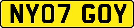 NY07GOY