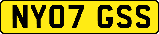 NY07GSS