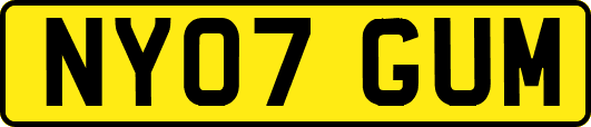 NY07GUM