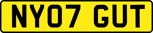 NY07GUT