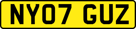 NY07GUZ