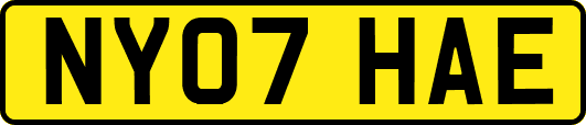 NY07HAE