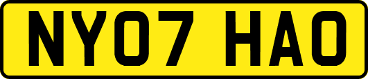 NY07HAO