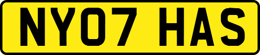 NY07HAS