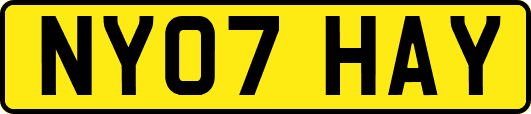 NY07HAY