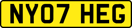 NY07HEG