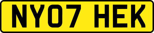 NY07HEK