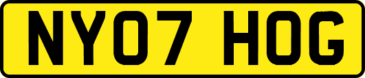 NY07HOG