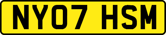 NY07HSM