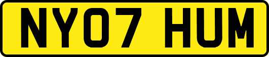 NY07HUM