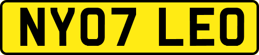 NY07LEO