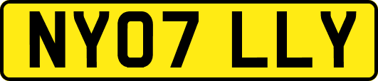 NY07LLY