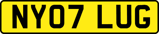 NY07LUG