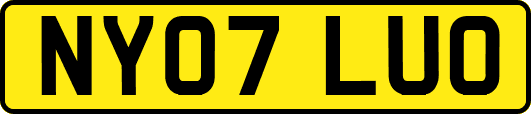 NY07LUO