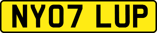 NY07LUP