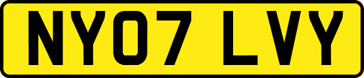 NY07LVY