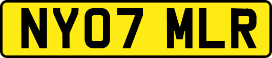 NY07MLR