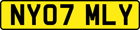 NY07MLY