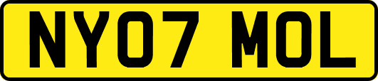 NY07MOL
