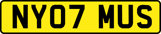 NY07MUS