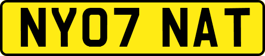 NY07NAT