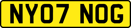 NY07NOG