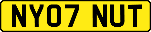 NY07NUT