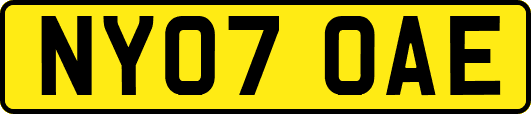 NY07OAE