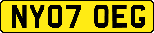 NY07OEG