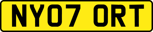 NY07ORT
