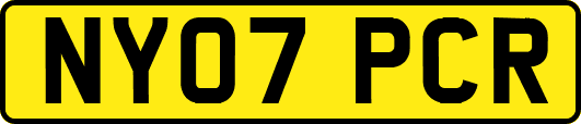 NY07PCR