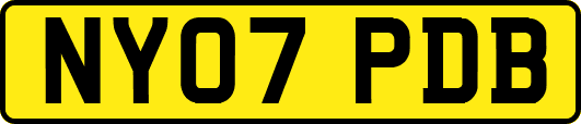NY07PDB
