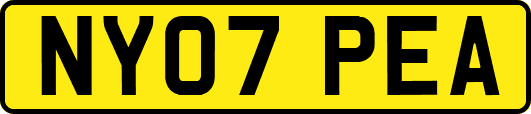 NY07PEA