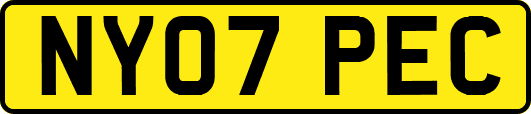 NY07PEC