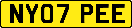 NY07PEE