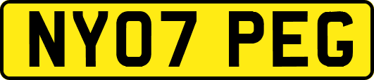 NY07PEG