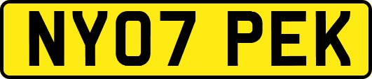 NY07PEK