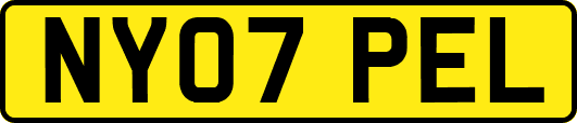 NY07PEL
