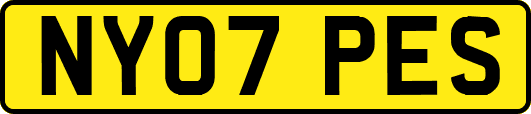 NY07PES