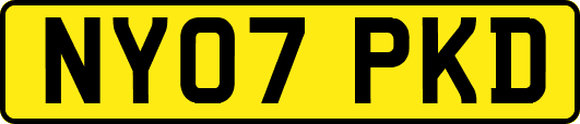 NY07PKD