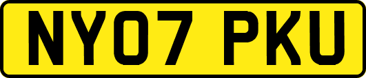 NY07PKU