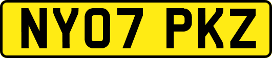 NY07PKZ