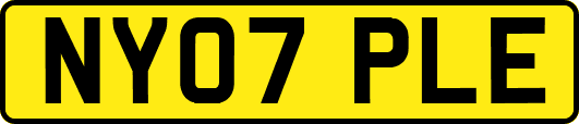 NY07PLE