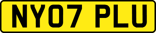 NY07PLU