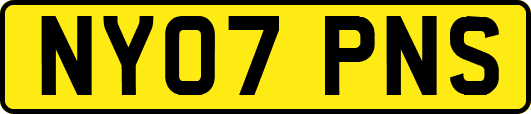 NY07PNS