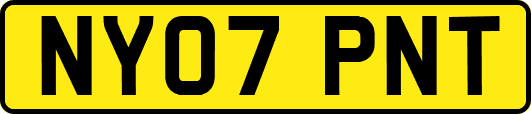 NY07PNT