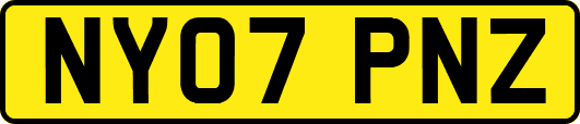 NY07PNZ