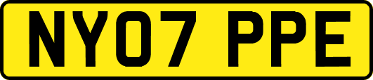 NY07PPE