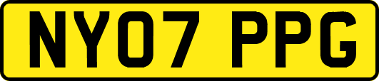 NY07PPG
